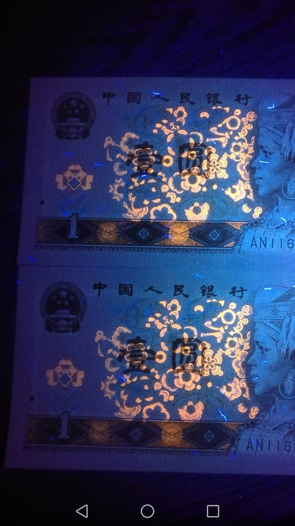 珍稀品种961烽火长城所见最强满堂彩双面纤云