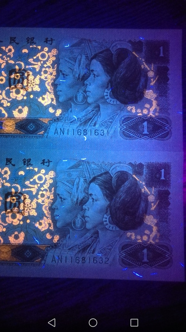 珍稀品种961烽火长城所见最强满堂彩双面纤云