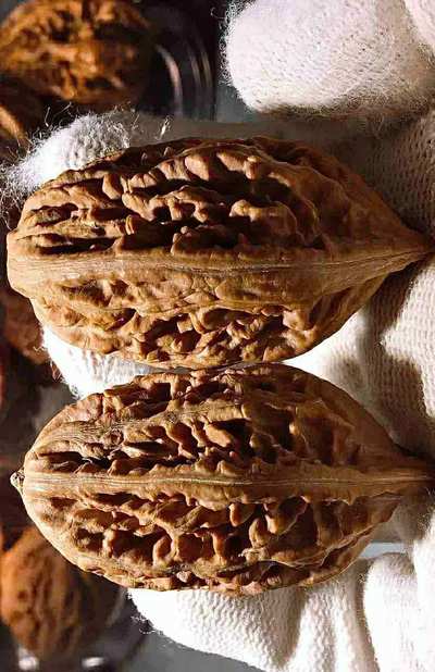 东北野生楸子,收藏级,实物拍摄,品相如图,玩高货的