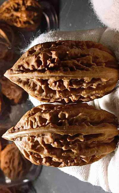 东北野生楸子,收藏级,实物拍摄,品相如图,玩高货的