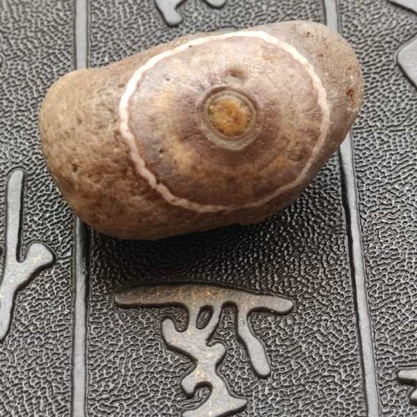 眼睛石天然天珠原石也称天眼石精品收藏级石