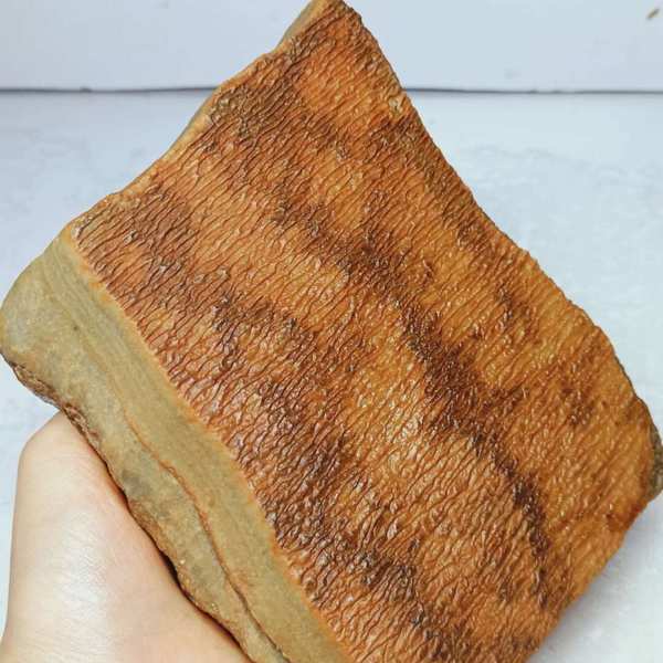 1188克黄纹路泥石,天然原石,完整无伤,尺寸13