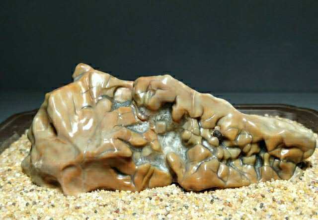 阿拉善天然地表戈壁玉牙石品相如图喜欢的结缘