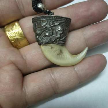 虎爪镶,求鉴定真假,年代,价值!