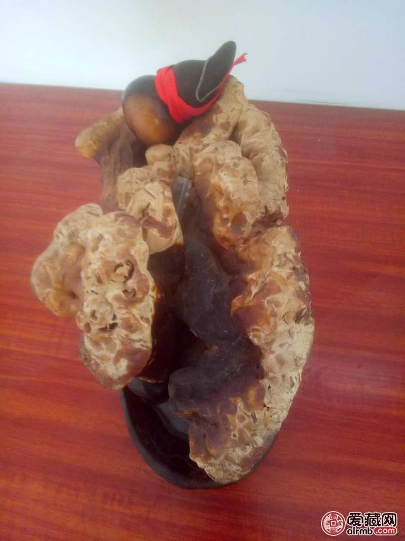 野生灵芝盆景,黑檀托盘.