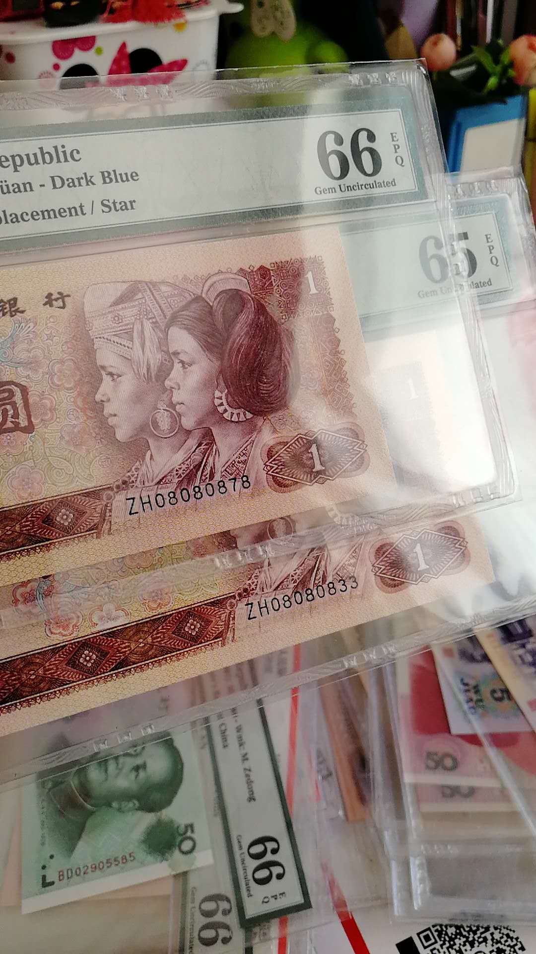 991荧光冠大叶兰一刀绝品带刀